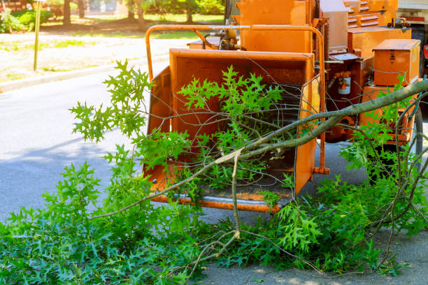 Best Grass Overseeding  in Athens, OH